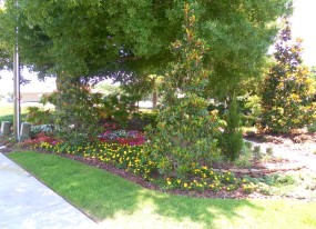Landscaping Lakeland FL
